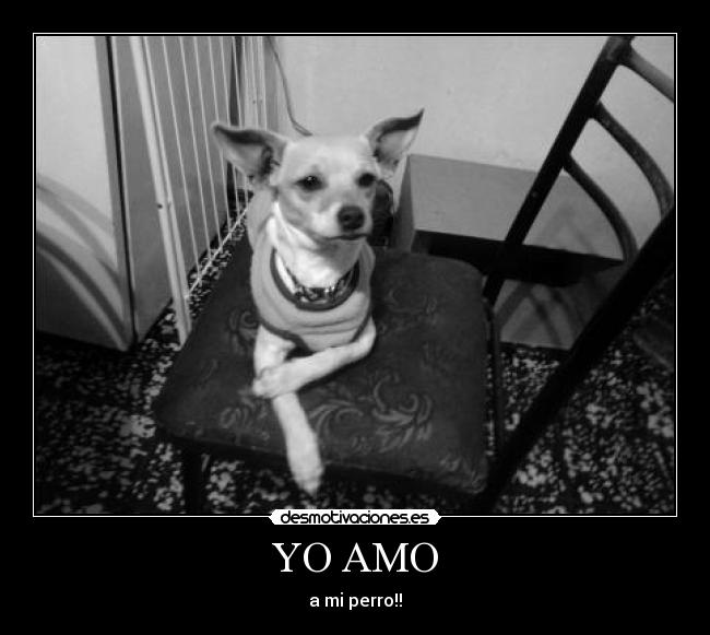 YO AMO - 