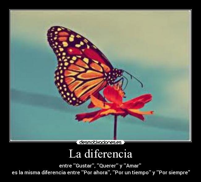 carteles olvidare desmotivaciones