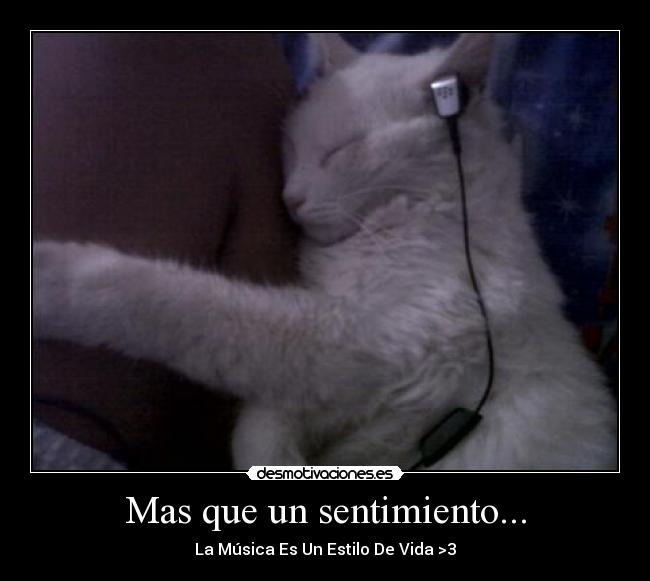 Mas que un sentimiento... - 