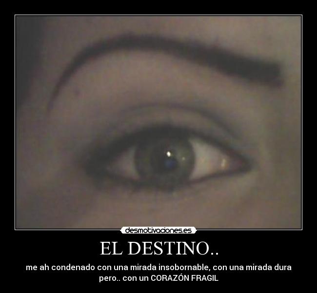 EL DESTINO.. -