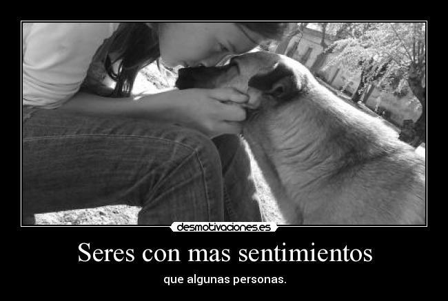 Seres con mas sentimientos - que algunas personas.