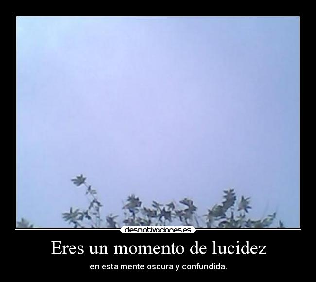 Eres un momento de lucidez -