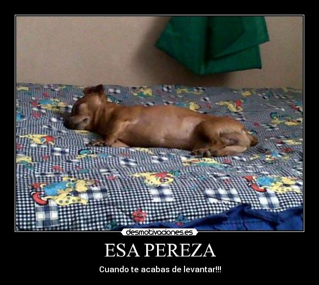 ESA PEREZA - Cuando te acabas de levantar!!!