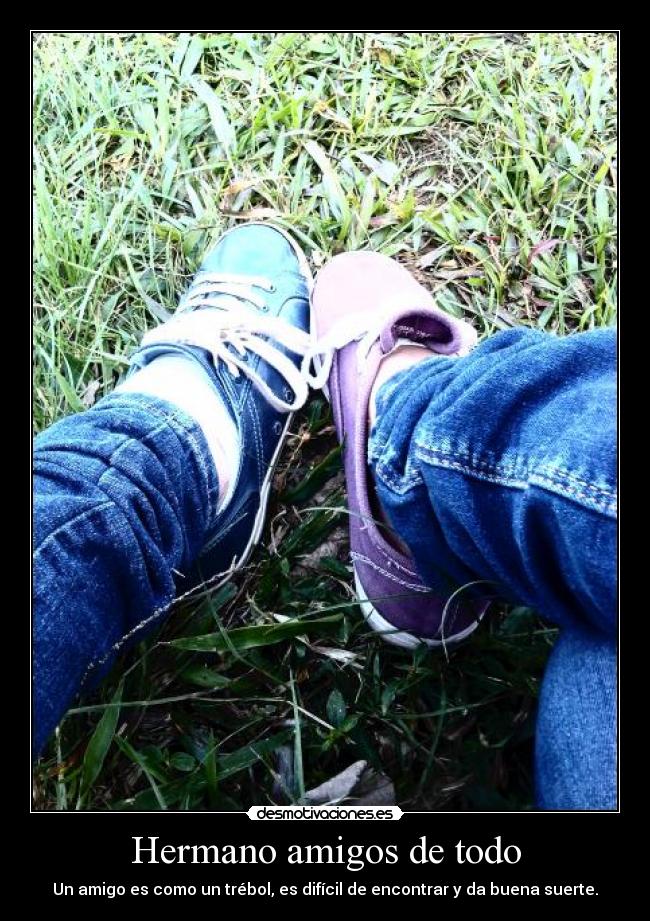 Hermano amigos de todo - Un amigo es como un trébol, es difícil de encontrar y da buena suerte.