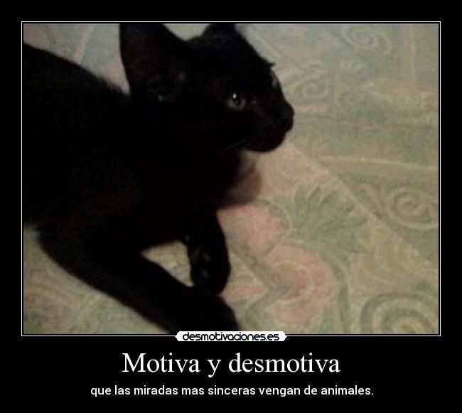 Motiva y desmotiva -