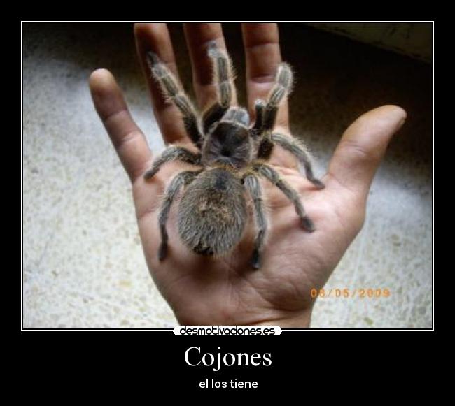 Cojones -