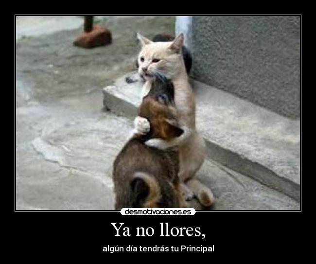 Ya no llores, - algún día tendrás tu Principal