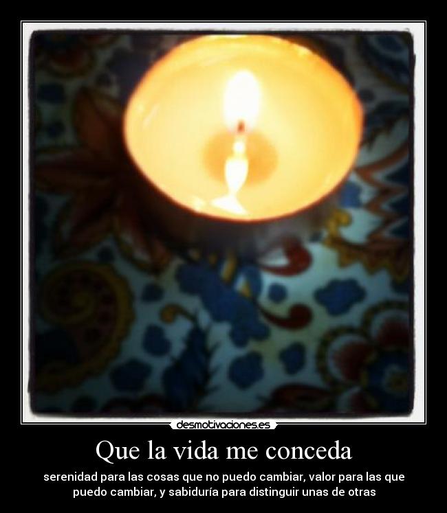 carteles vida vida cambio serenidad sabiduria desmotivaciones