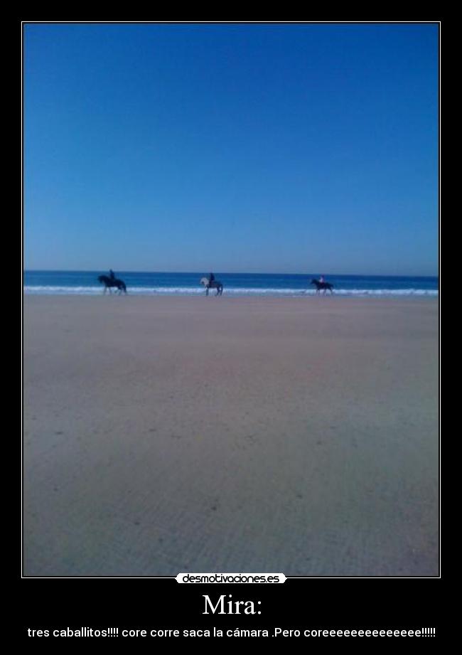Mira: - tres caballitos!!!! core corre saca la cámara .Pero coreeeeeeeeeeeeee!!!!!