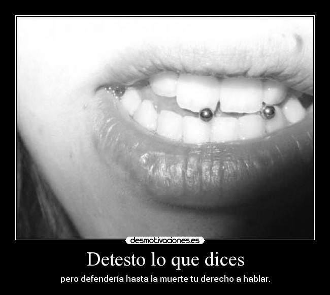 Detesto lo que dices - 
