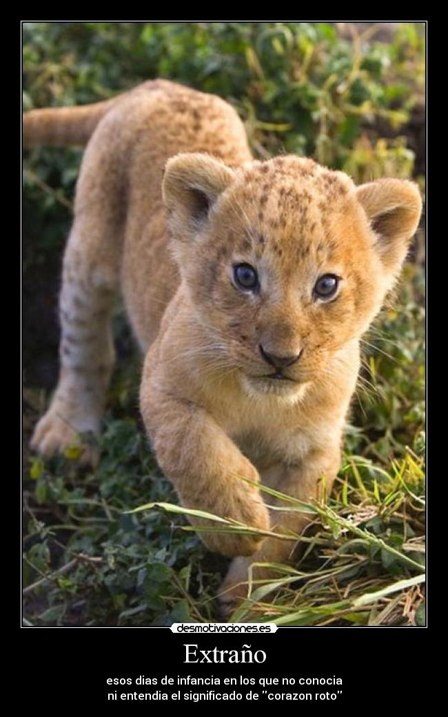 Extraño - esos dias de infancia en los que no conocia
ni entendia el significado de corazon roto