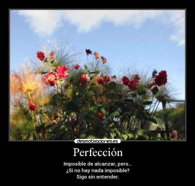 Perfección -