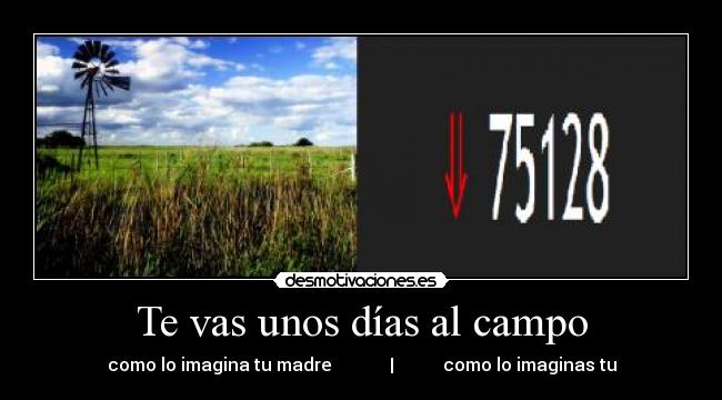 Te vas unos días al campo -