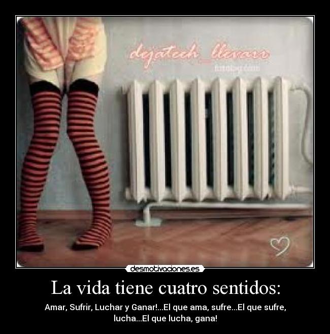 La vida tiene cuatro sentidos: - Amar, Sufrir, Luchar y Ganar!...El que ama, sufre...El que sufre,
lucha...El que lucha, gana!