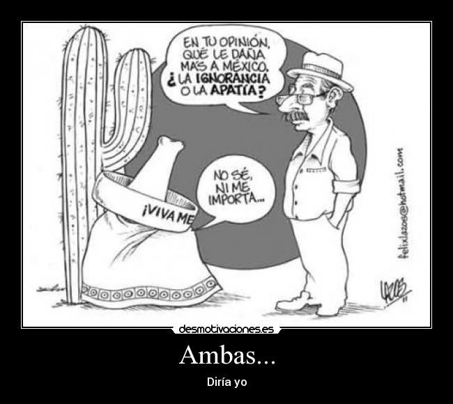 Ambas... - 