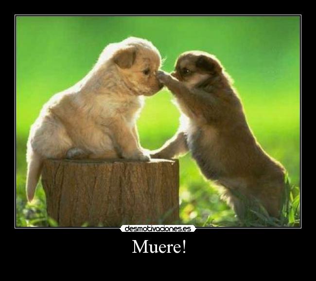 Muere! - 