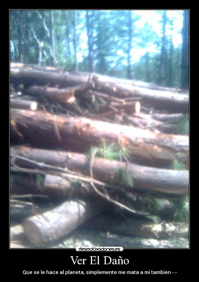 Ver El Daño -