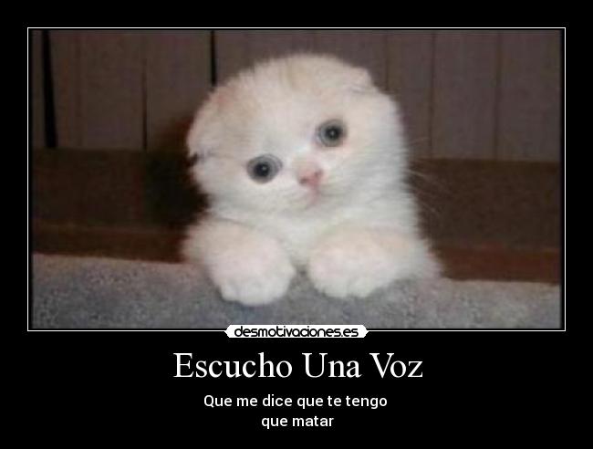 Escucho Una Voz - Que me dice que te tengo
que matar