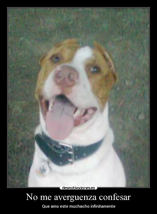 carteles carlos jose desmotivaciones