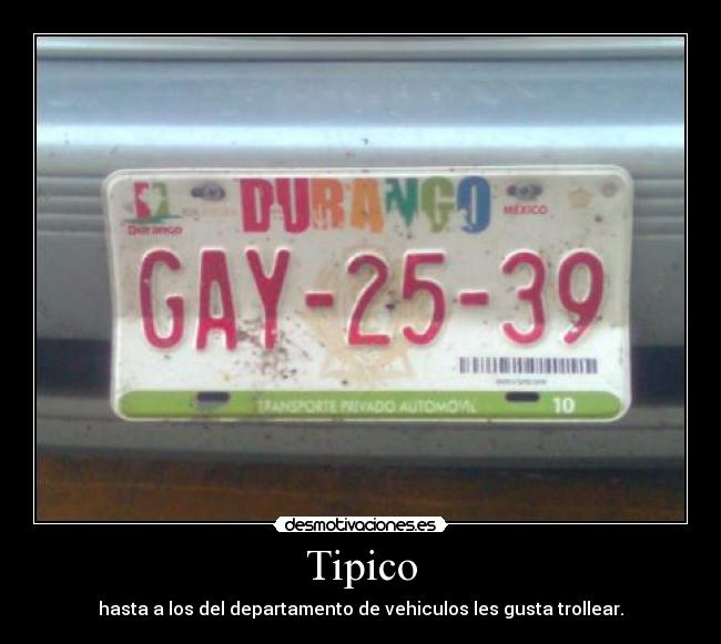 Tipico - hasta a los del departamento de vehiculos les gusta trollear.