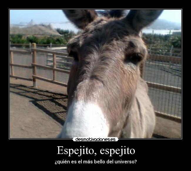 Espejito, espejito - ¿quién es el más bello del universo?