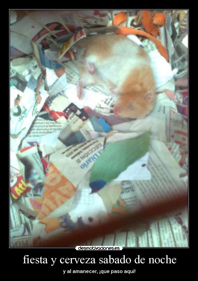 fiesta y cerveza sabado de noche - y al amanecer, ¡que paso aqui!