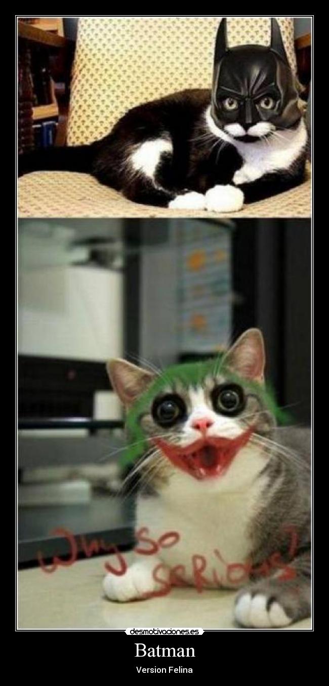 Batman - Version Felina