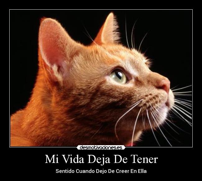 Mi Vida Deja De Tener - Sentido Cuando Dejo De Creer En Ella