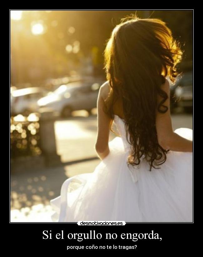 carteles lashadasexisten desmotivaciones