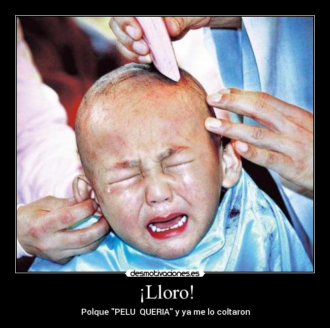 carteles lloro peluqueria coltaron desmotivaciones