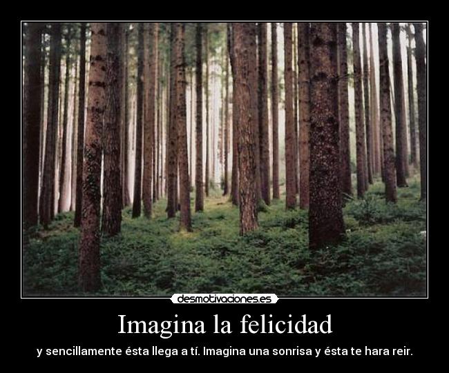 Imagina la felicidad -