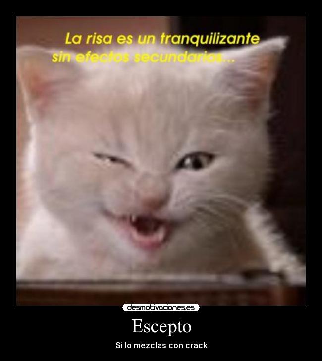 Escepto - Si lo mezclas con crack