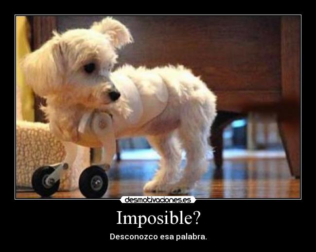 Imposible? - 