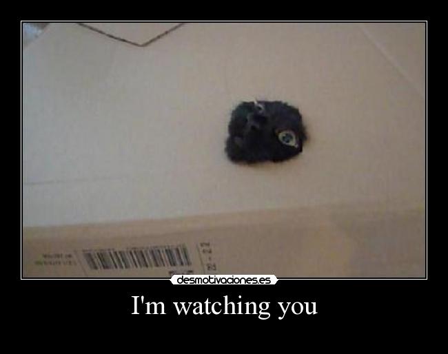 Im watching you - 