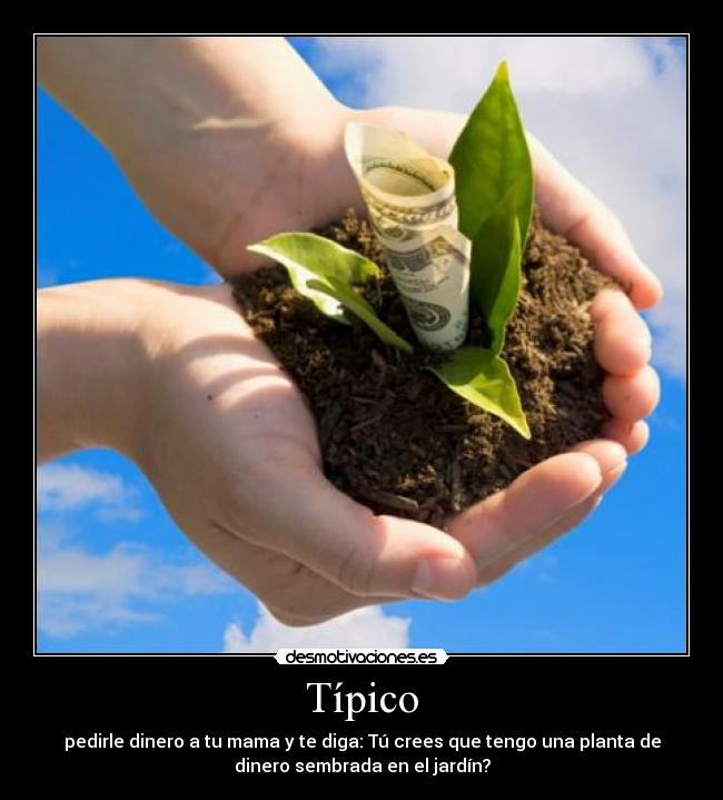 Típico - 