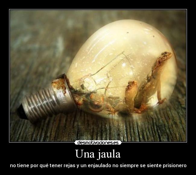 carteles anaabelen desmotivaciones