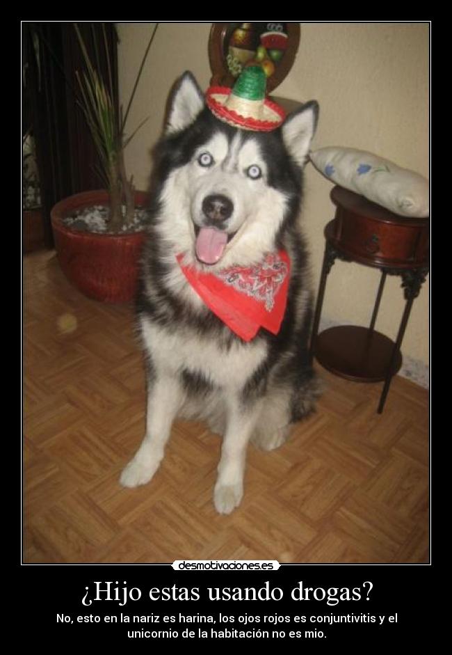 carteles moxis desmotivaciones