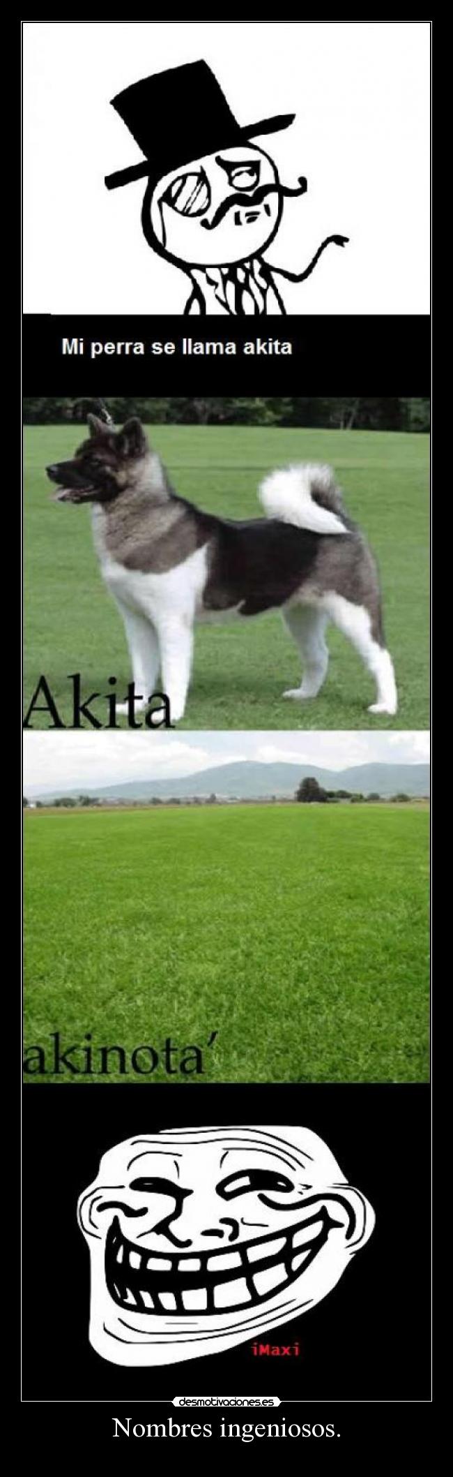 Nombres ingeniosos. - 