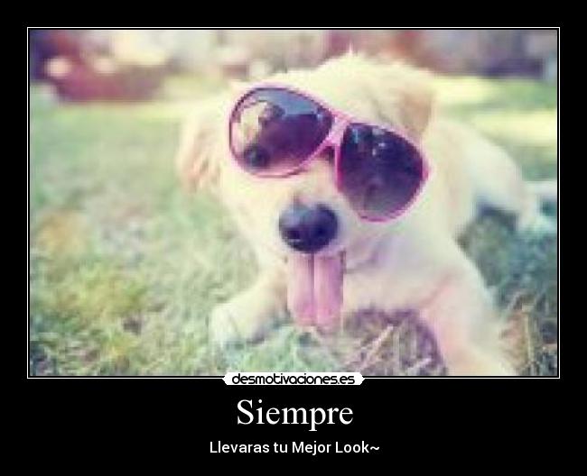 Siempre - Llevaras tu Mejor Look~