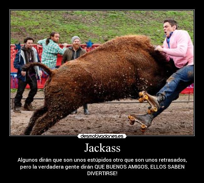 Jackass -