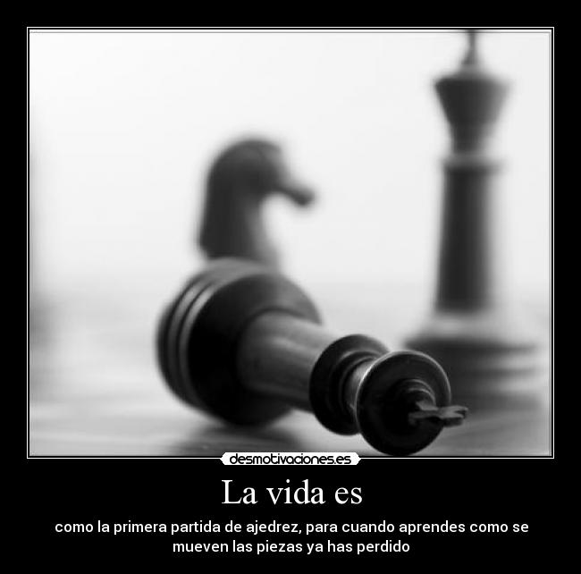 La vida es - 