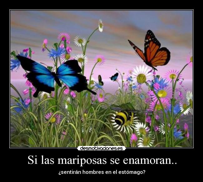 carteles estomago mariposas enamorar hombres sentir desmotivaciones