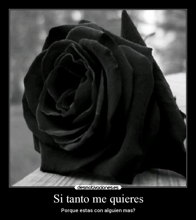 Si tanto me quieres - Porque estas con alguien mas?