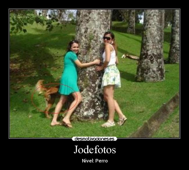 Jodefotos - Nivel: Perro