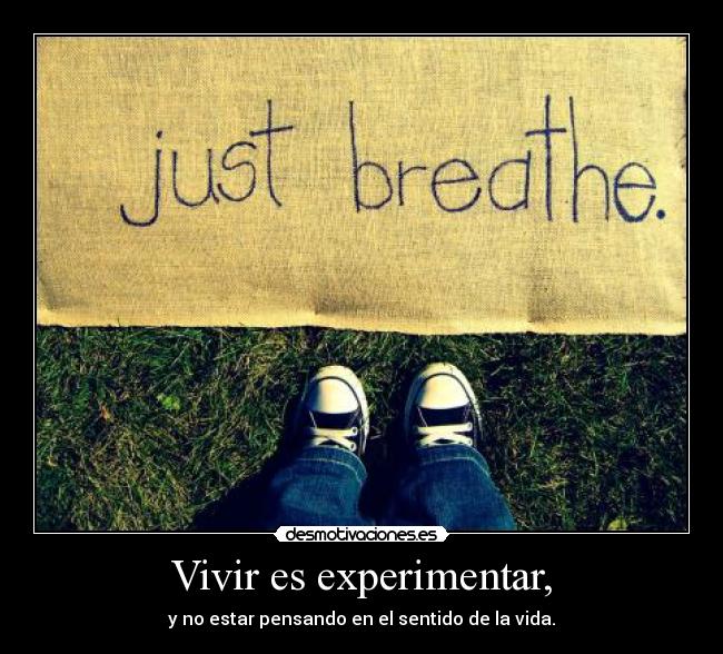 Vivir es experimentar, - y no estar pensando en el sentido de la vida.