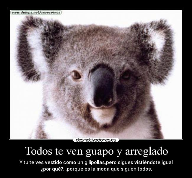 Todos te ven guapo y arreglado - Y tu te ves vestido como un gilipollas,pero sigues vistiéndote igual
¿por qué?...porque es la moda que siguen todos.