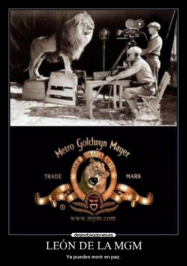 LEÓN DE LA MGM - 