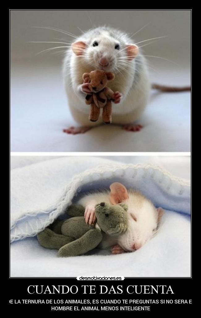 CUANDO TE DAS CUENTA - 