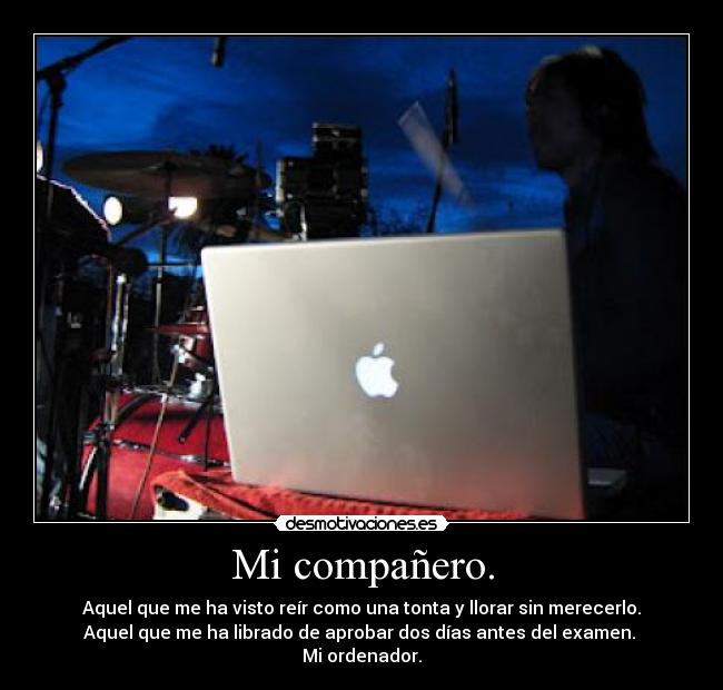 Mi compañero. -
