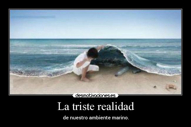 La triste realidad - de nuestro ambiente marino.